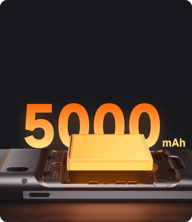 Picture of the author